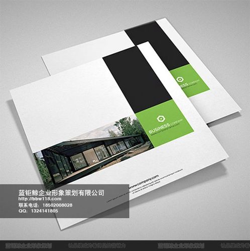 首页 广州蓝钜鲸企业形象策划有限公司 荔湾区画册设计|蓝钜鲸|时尚