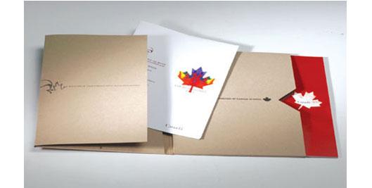 画册设计包装设计网站设计产品摄影vi策划_深圳市顶点企业形象策划